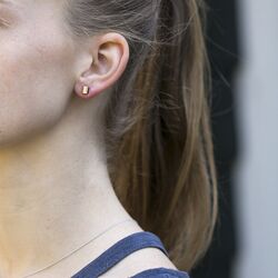 Bicolor oorbellen titatnium Boccia 05001-02