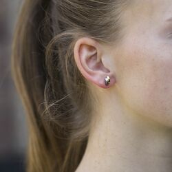 Titanium oorstekers bicolor twee strookjes 0552-03