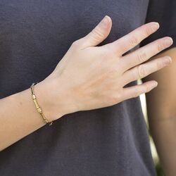 Boccia Titanium vergulde armband schakels mat glad 03037-03