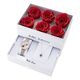 Julie Julsen Loving Roses box