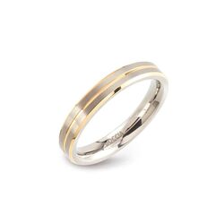 Titanium smalle ring bicolor 0148-02 van Boccia