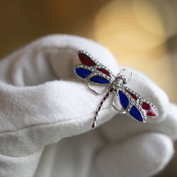 Zilveren libel met rood en blauw emaille, markasiet en robijntjes