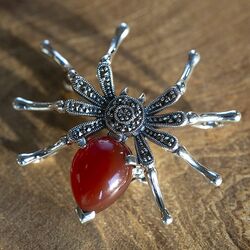 Zilveren hanger en broche spin carneool