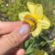 Geelgouden ring met blokken patroon
