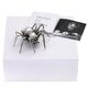 Hele grote zilveren broche in de vorm van een spin met parels en topaas Bruno da Rocha