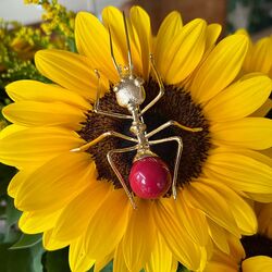 Bruno da Rocha vergulde mier broche porselein