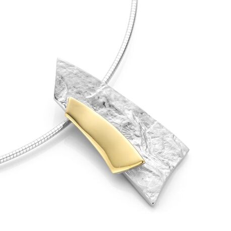 Bicolor zilveren hanger golf