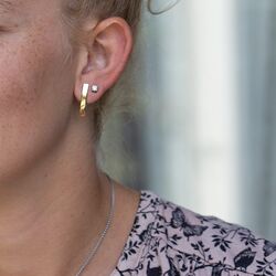 Puntige verguld zilveren oorstekers