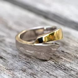 goud, zilver, titanium - ring online kopen - Zilver.nl
