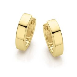 Verguld zilveren creolen glanzend