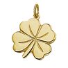 Gouden hanger klavertje 14 karaat