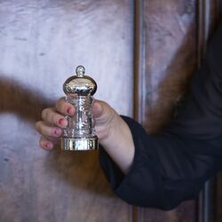 Luxe zoutmolen met zilveren monturen en Peugeot molen