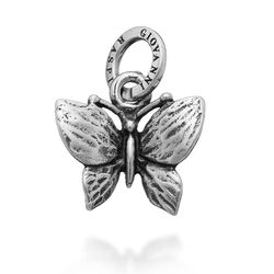 Zilveren bedel vlinder raspini