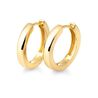 Elegante gouden creolen 1,5 cm x 2 mm