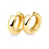 Gouden creolen 0603702