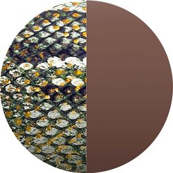 Les Georgettes 16 mm inlay Reptile Graphique / Chocolat