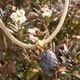 Vergulde ketting hanger met grijze aanhanger Heide Heinzendorff