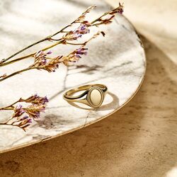 Geelgouden zegelring ovaal met sierrandje