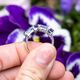 Zilveren ring amethist blauw topaas