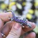 Zilveren broche salamander markasiet amethist