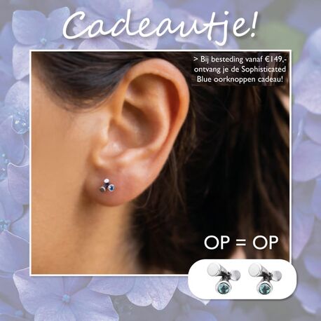 rabinovich-oorstekers-sophisticated-blue-zilver-nl