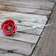 Saturno zilveren Papaver tak van Saturno