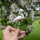 Saturno zilveren miniatuur Flamingo met wit en roze emaille
