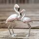 Saturno grote zilveren Flamingo met wit en roze emaille