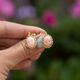 Verguld zilveren oorbellen bloempatroon met peau d'ange babykoraal