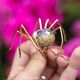 Bruno da Rocha vergulde spinbroche jaspis