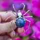 Bruno da Rocha's zilveren spinbroche met witte zoetwaterparel en grote lapis lazuli.