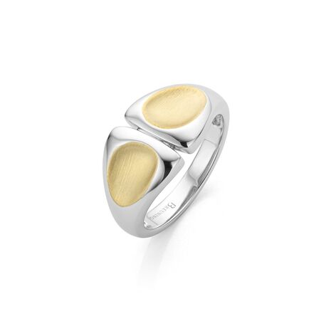 Zilveren ring met vergulde vlakken, Breuning