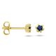 Kleine geelgouden oorknoppen saffiertjes uit de Home Collection