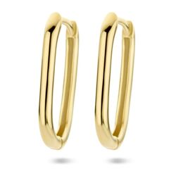 Geelgouden oorringen in paperclip model