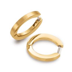 Boccia 0558-04 verguld titanium oorringen deels geborsteld deels gladgepolijst.