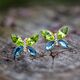 Spark verguld zilveren oorstekers Imago blauw groen