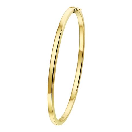 S383 Geelgouden bangle vlakke buis in verschillende maten
