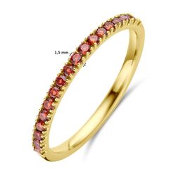 Geelgouden ring met geboortestenen half alliance