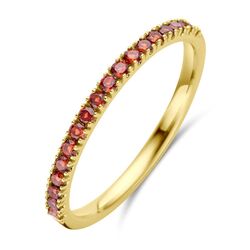 Geelgouden ring met geboortestenen half alliance