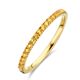 Geelgouden ring met geboortestenen half alliance