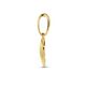 Gouden hangertje schelp