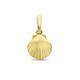 Gouden hangertje schelp