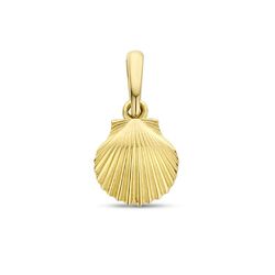 Gouden hangertje schelp