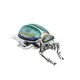 Saturno zilveren scarabee klein met blauw groen en goud emaille