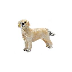 Saturno zilveren golden retriever met emaille