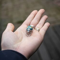 Saturno zilveren scarabee klein met blauw groen en goud emaille