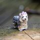Saturno zilveren miniatuur Yorkshire terrier met emaille