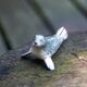 Saturno zilveren zeehond met natuurgetrouw emaille