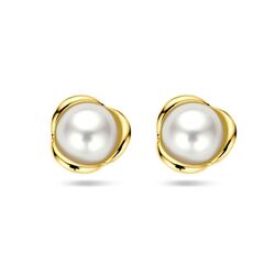 Gouden zoetwater pareloorstekers 8,5 mm