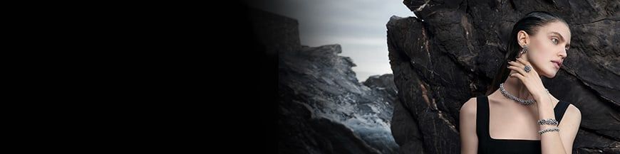 Raspini sterrenbeelden